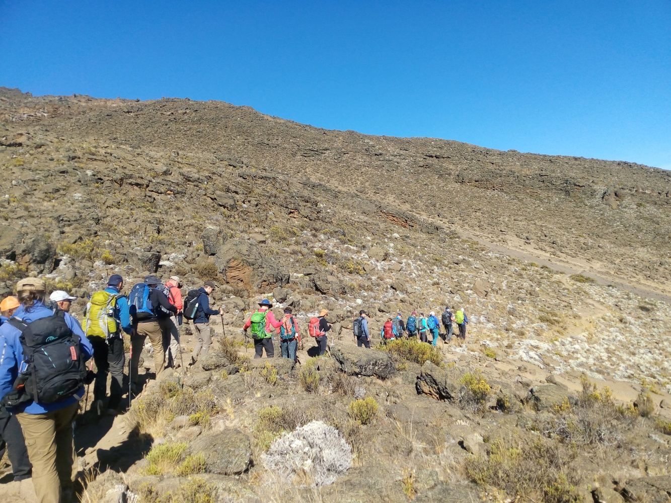 8 DAYS WESTERN BREACH ROUTE   //TREKKING KILIMANJARO