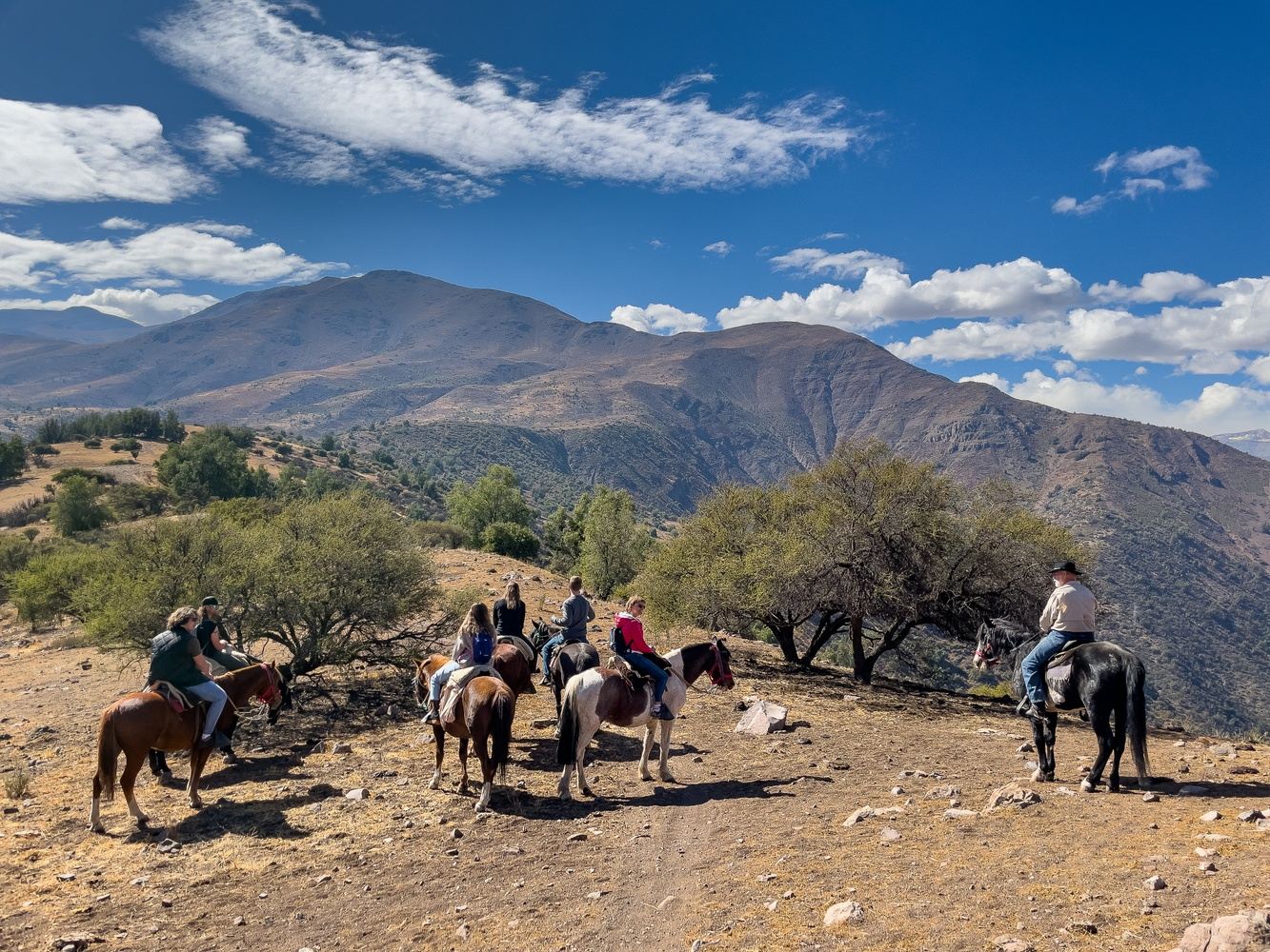 Half-Day Horseback riding Santiago (Open Group tour)