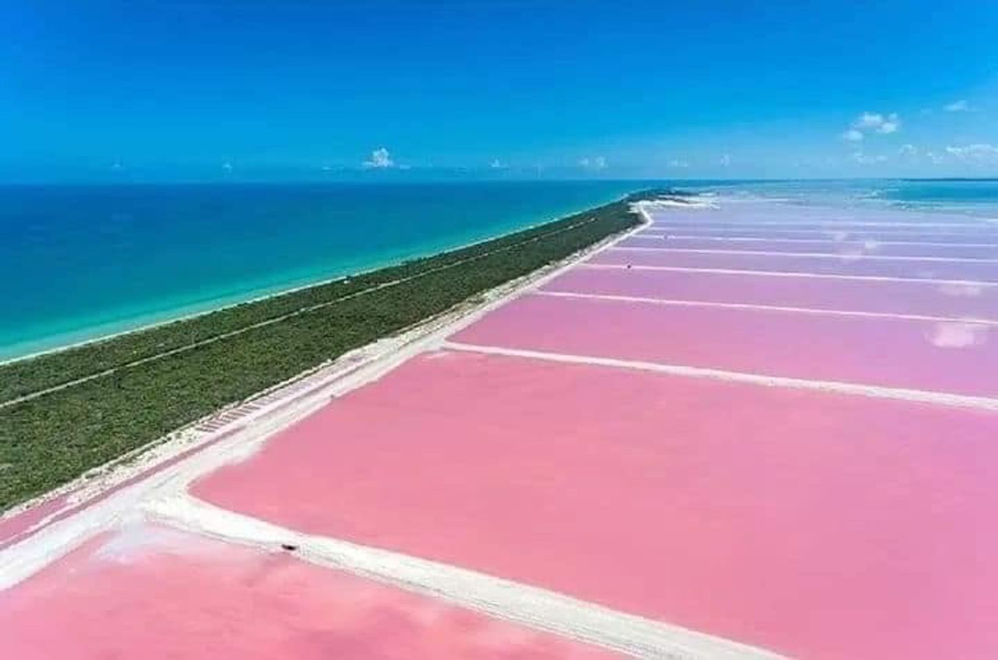 COSTA ROSA: Pasea en lancha en la reserva Ría Lagartos