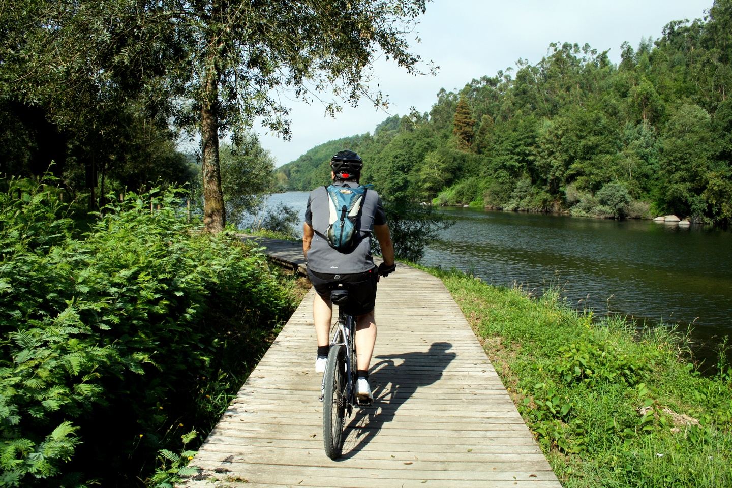 Cycling Tour: Alto Minho to Porto (Mid-Season)