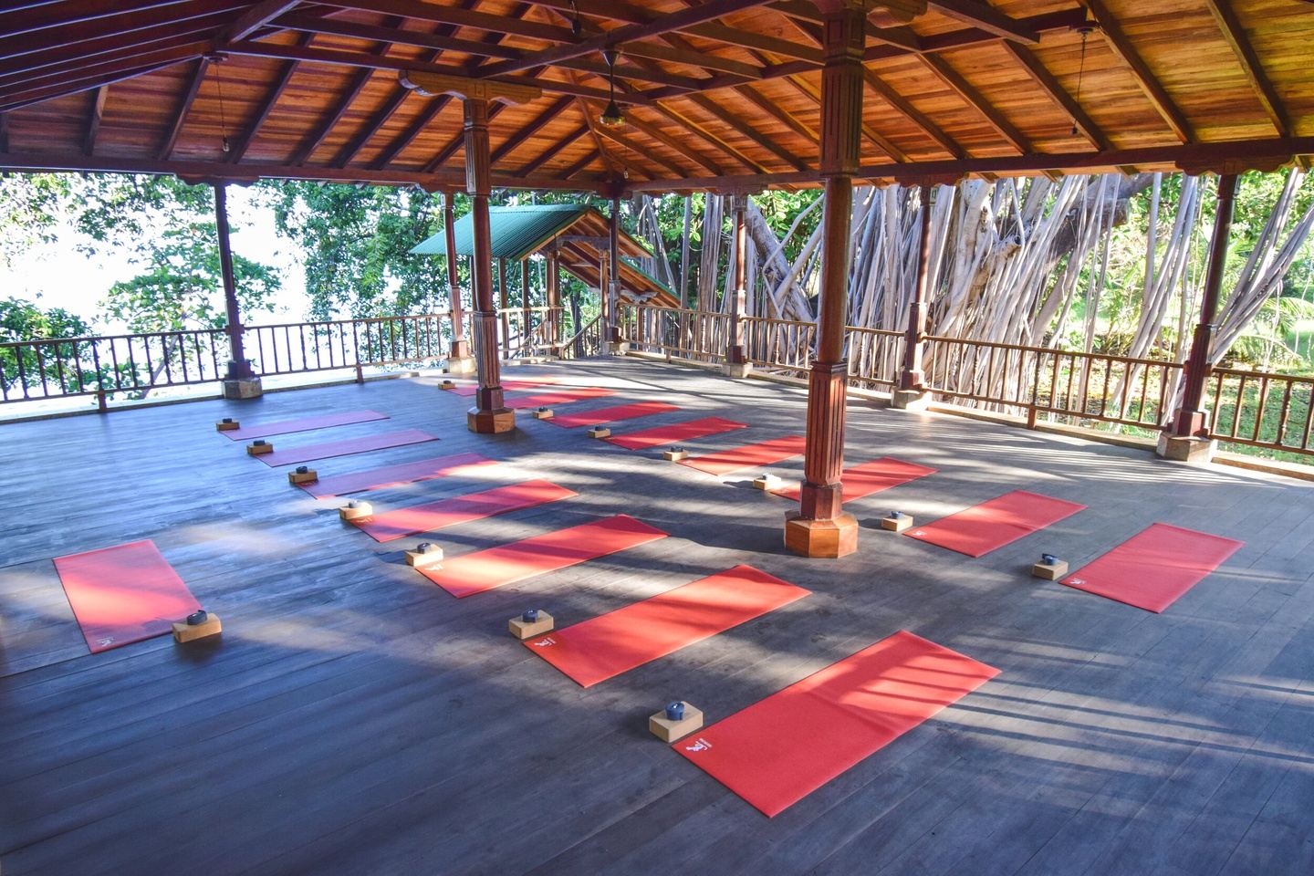 8 Day Align & Shine Yoga Retreat in Nicaragua
