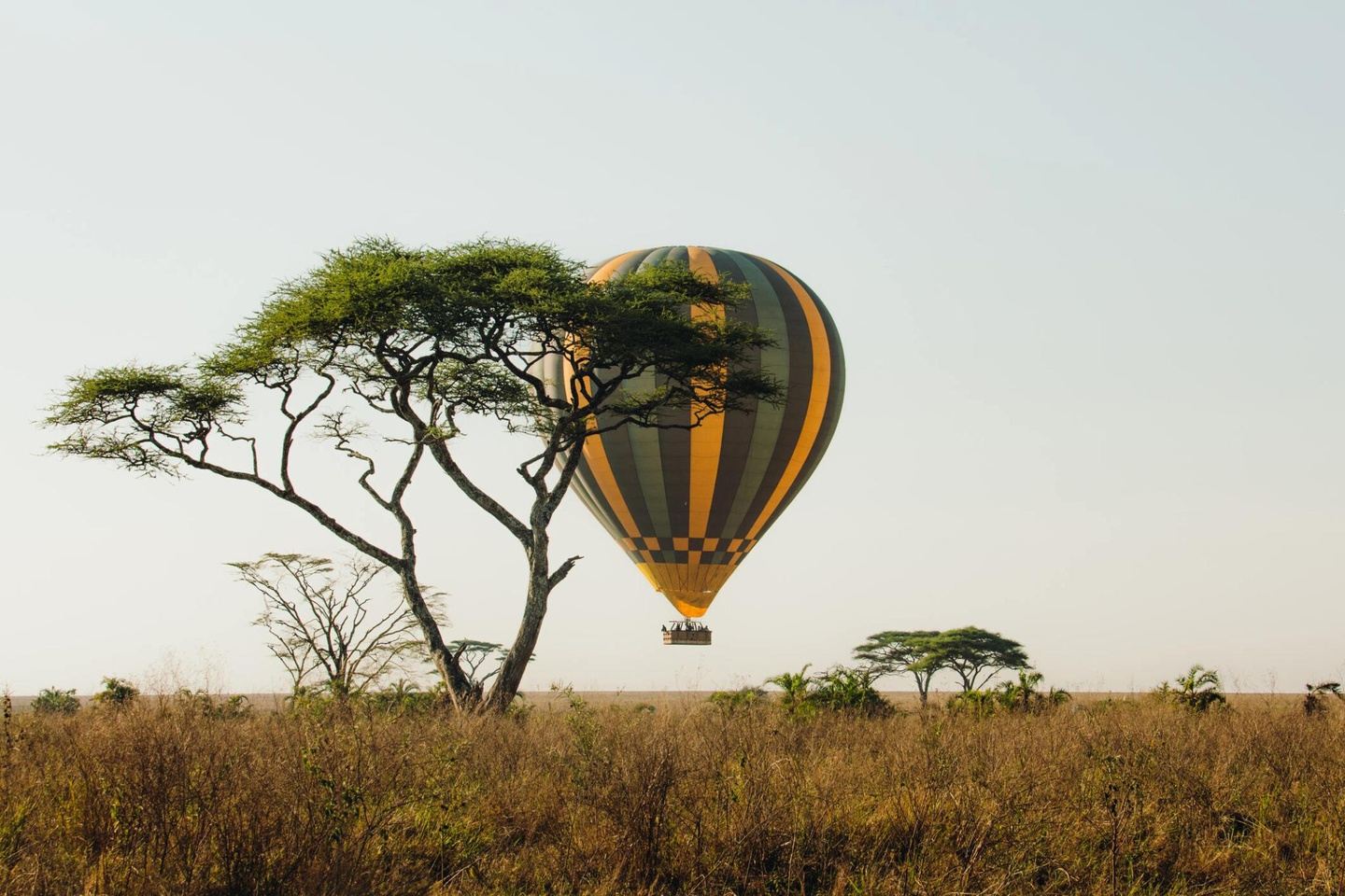 Wharton Kenya Trek 2024 - Hot Air Balloon Ride