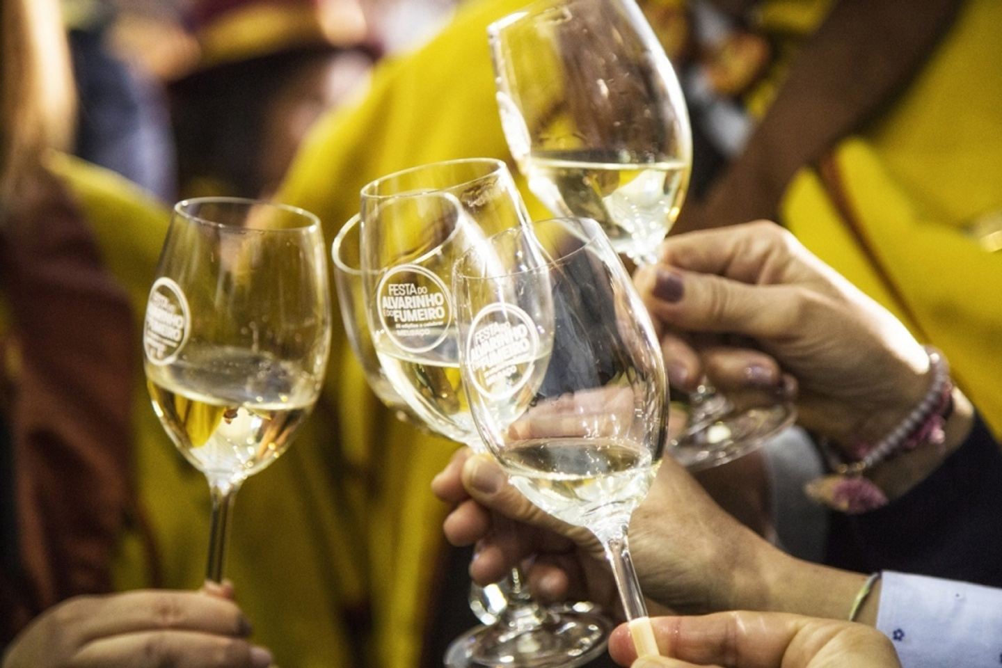 Tour Vinho Alvarinho e Melgaço