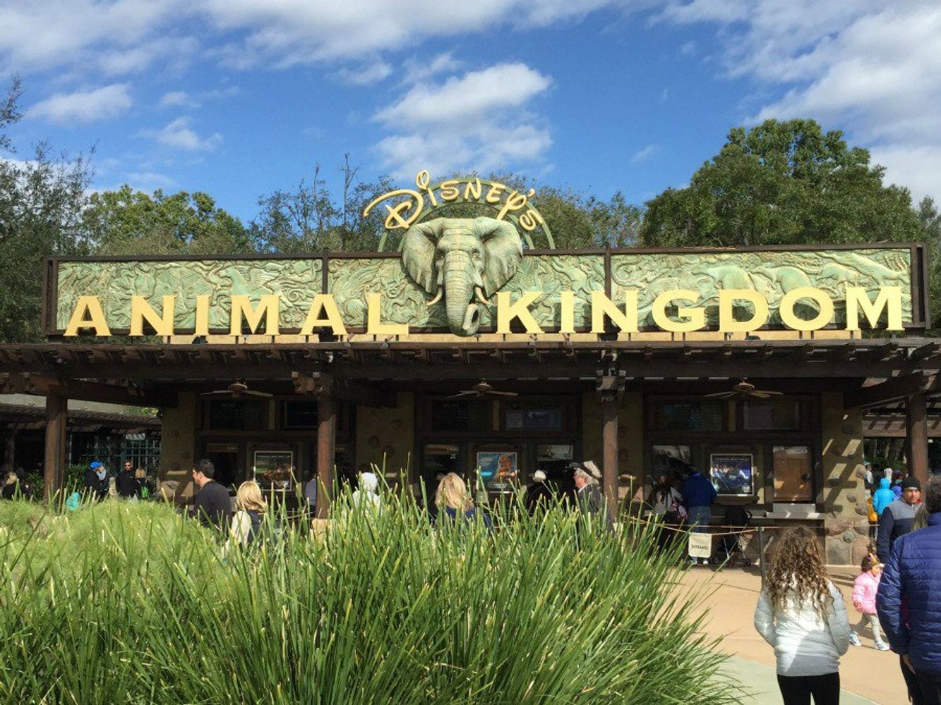 5th Grade to Animal Kingdom in Orlando, FL
