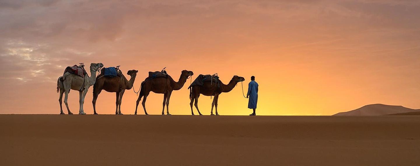 Discover South of Morocco Small Group Tour