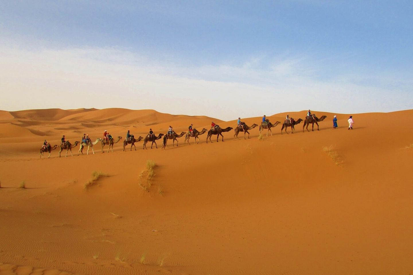 Morocco: Imperial Cities and Desert Trip!