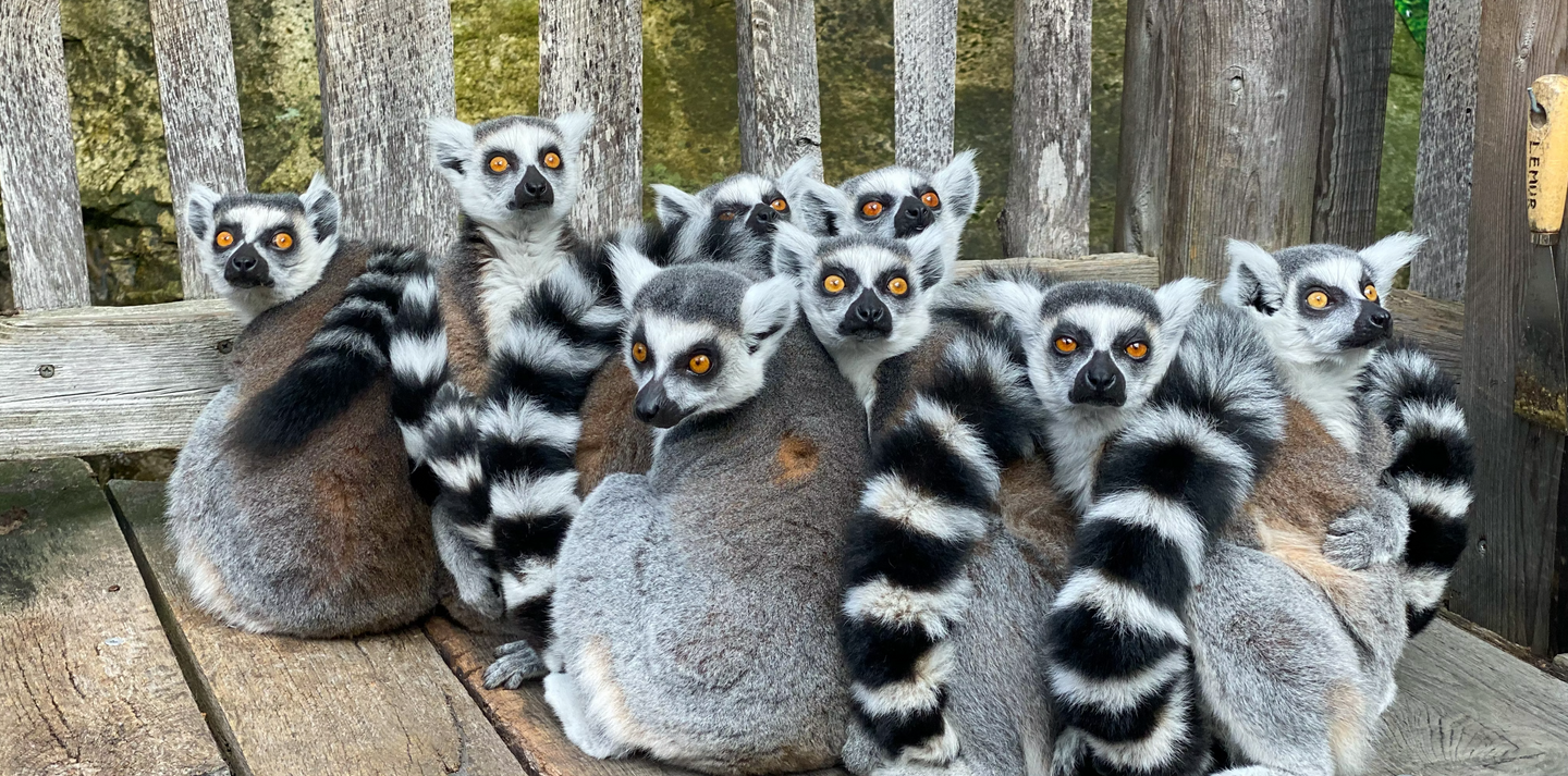 MADAGASCAR Jun 12-21, 2023 Sold in Antananarivo, Madagascar