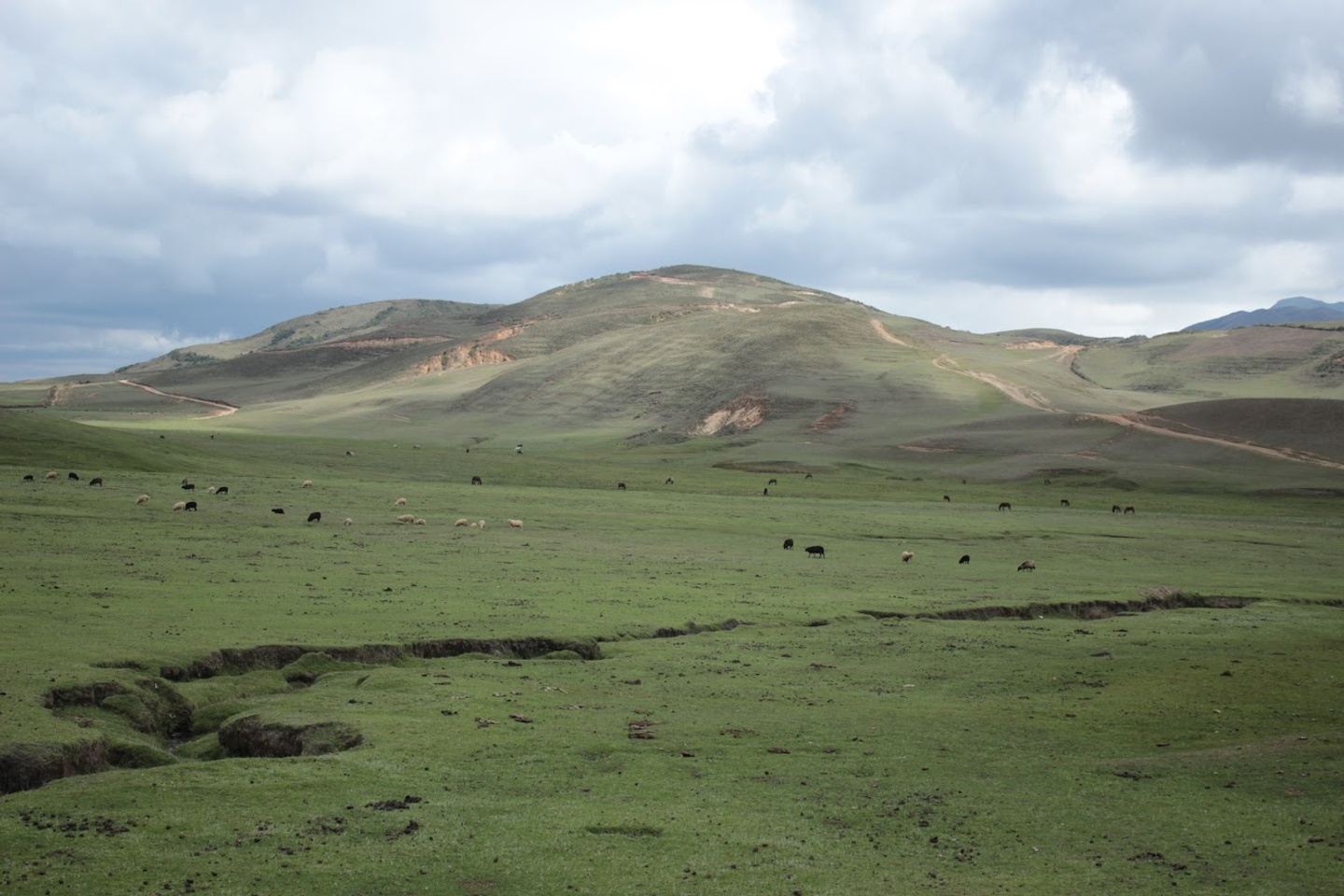 🇵🇪 2025 Summer Peru Expedition