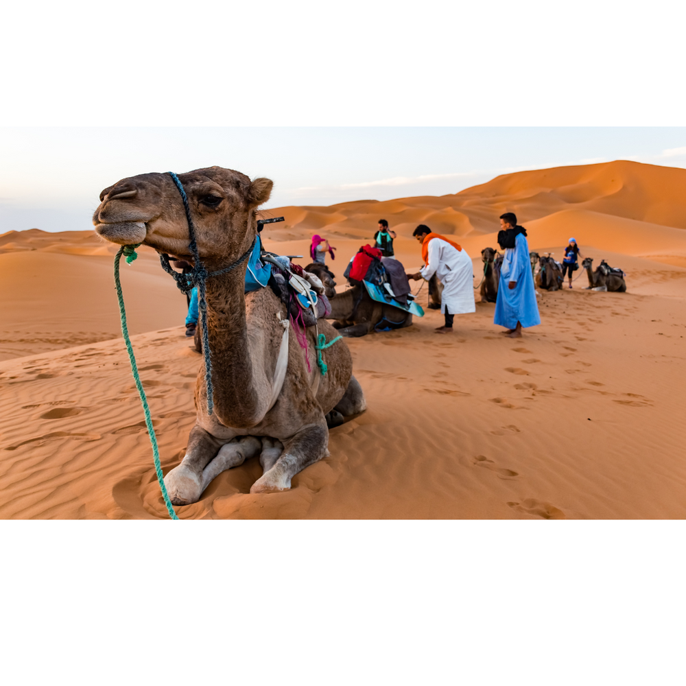 CHIGAGA DESERT EXPRESS: 3-DAY ADVENTURE
