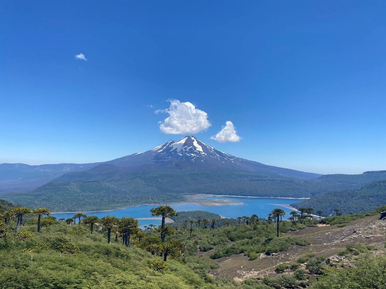 8-Day Gravel Bike Tour in Chile's Lake and Volcano District