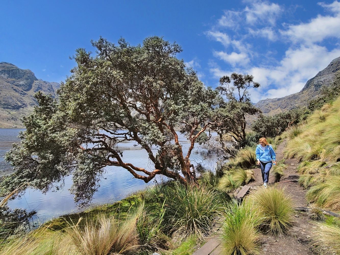 Gualaceo and Chordeleg full day - Cajas National Park full day