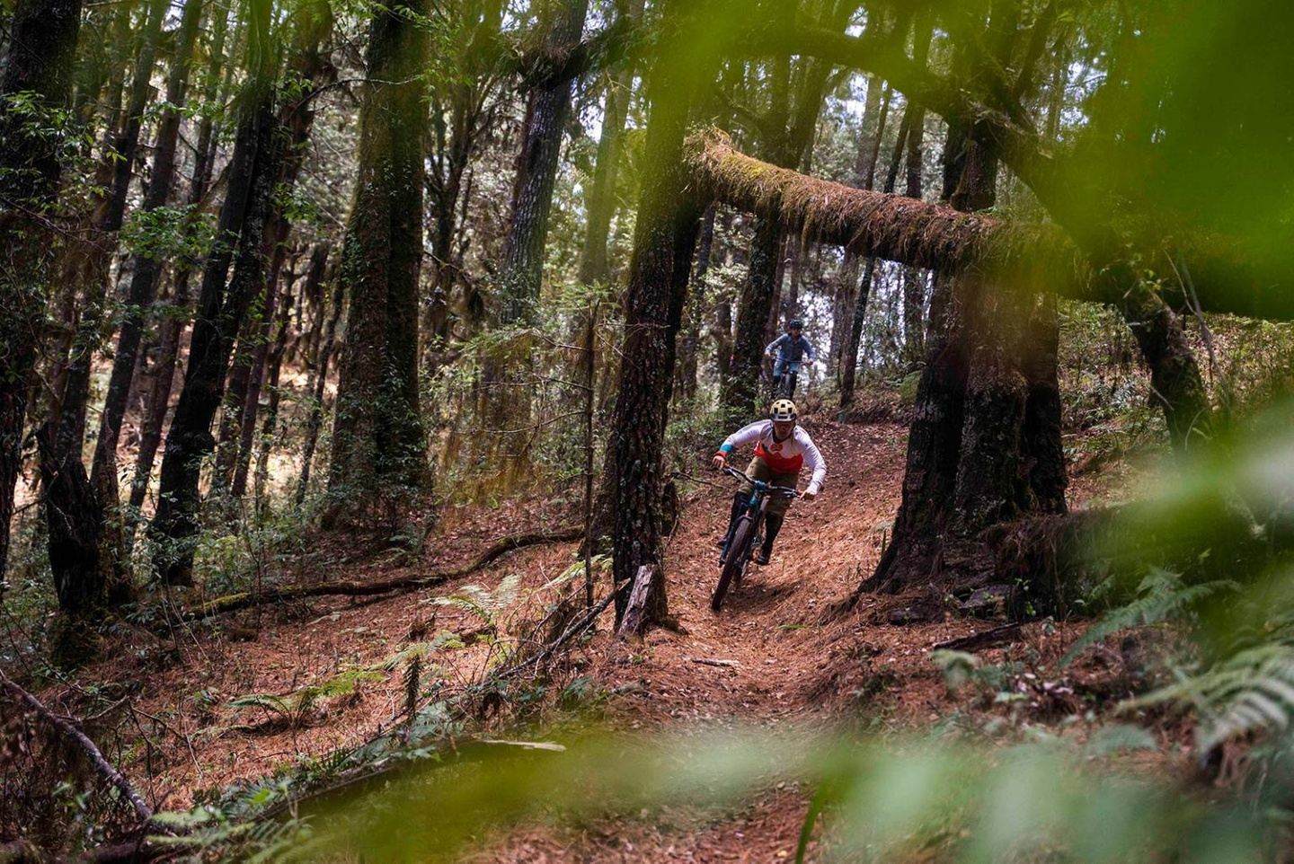 Oaxaca MTB Enduro