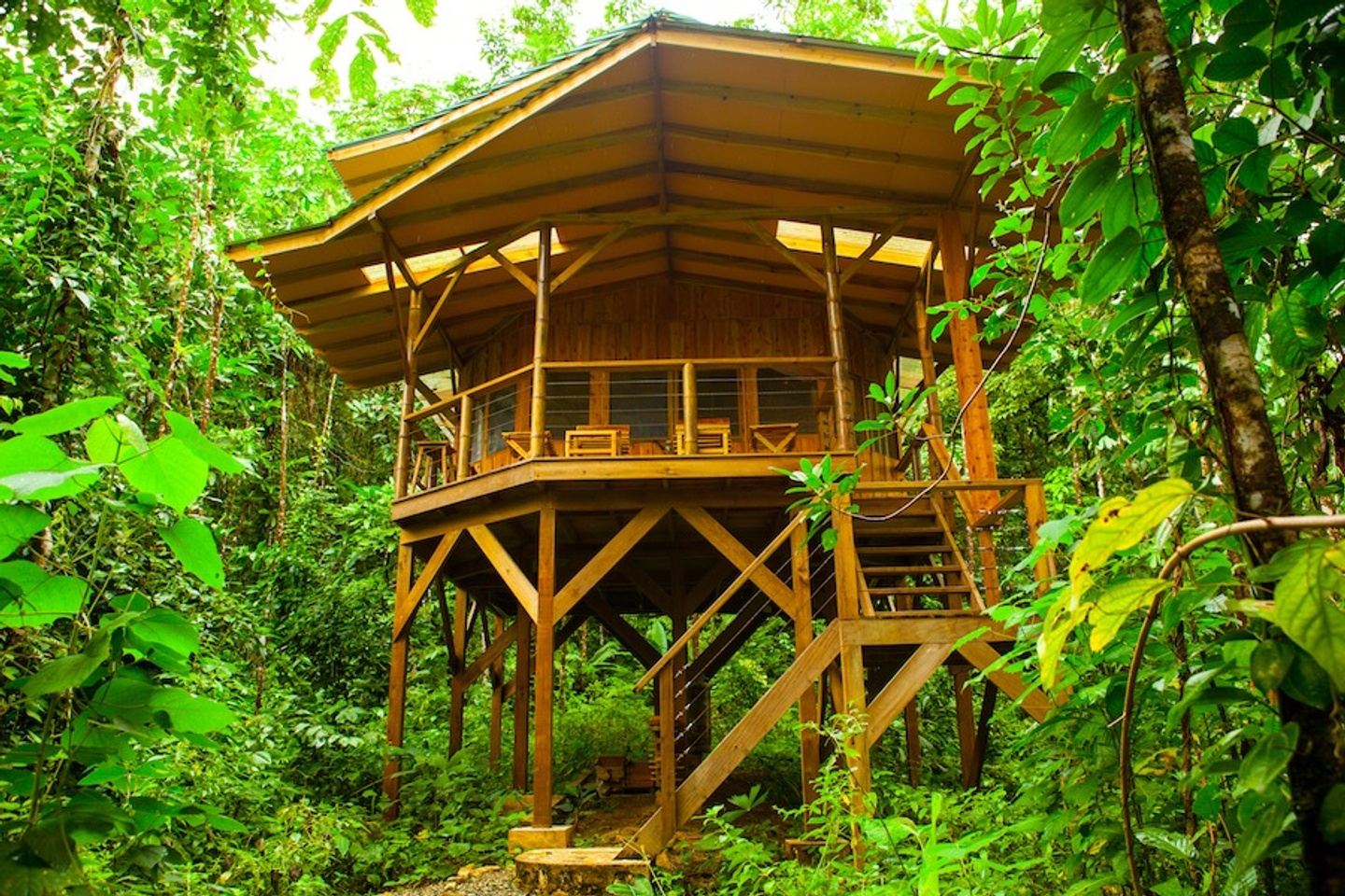 Yoga, Hiking & Treehouses at Finca Bella Vista, Costa Rica