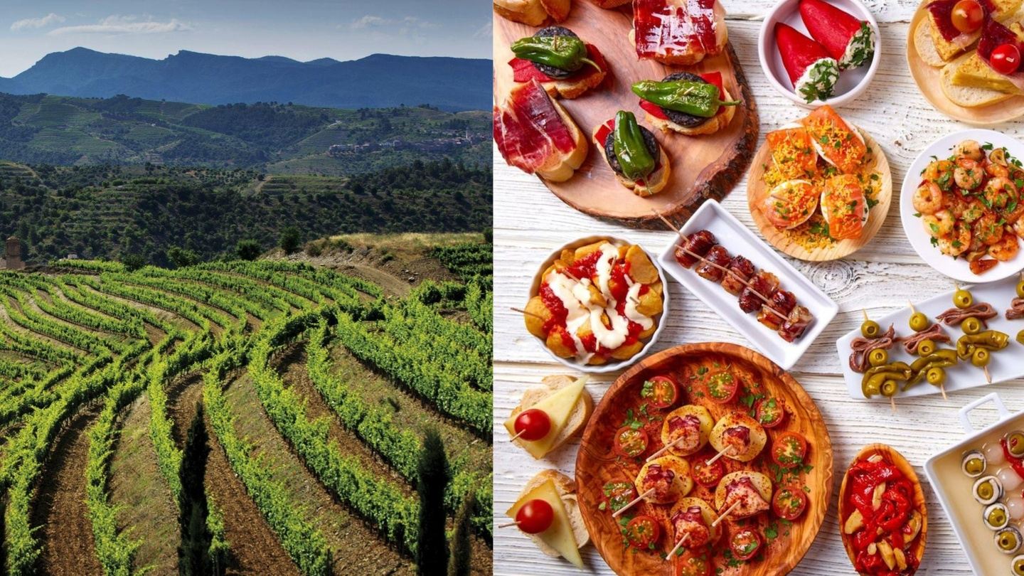 A Culinary Journey through Spain with Copia Vineyards and Winery