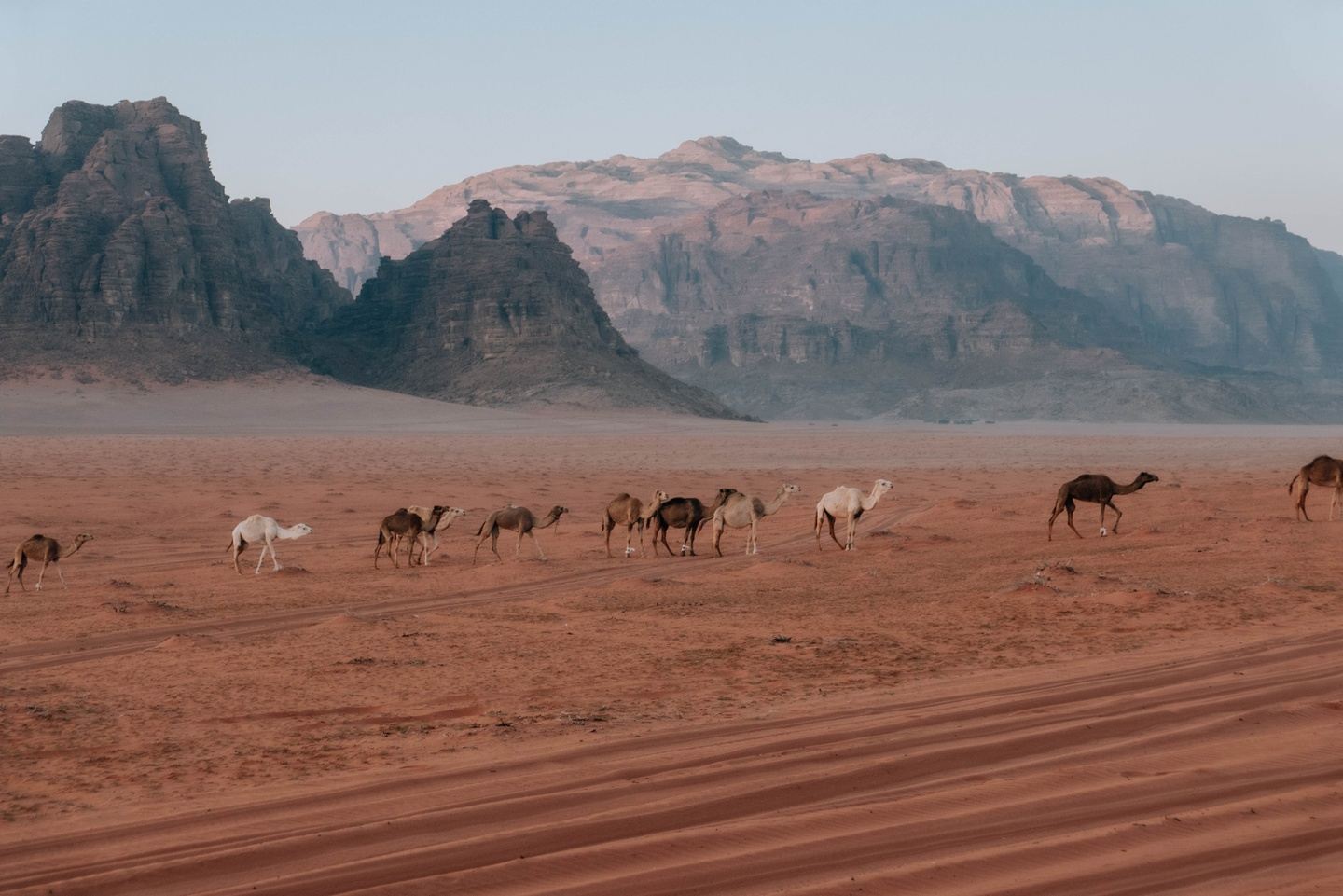 3 nights Bedouin Desert Adventure