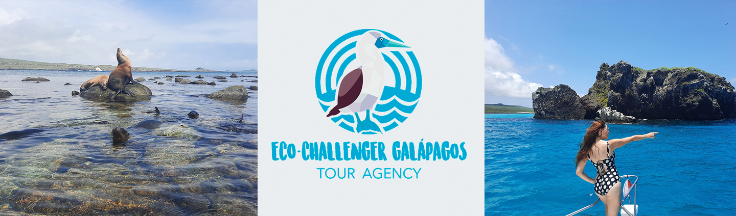 Tour Española 2