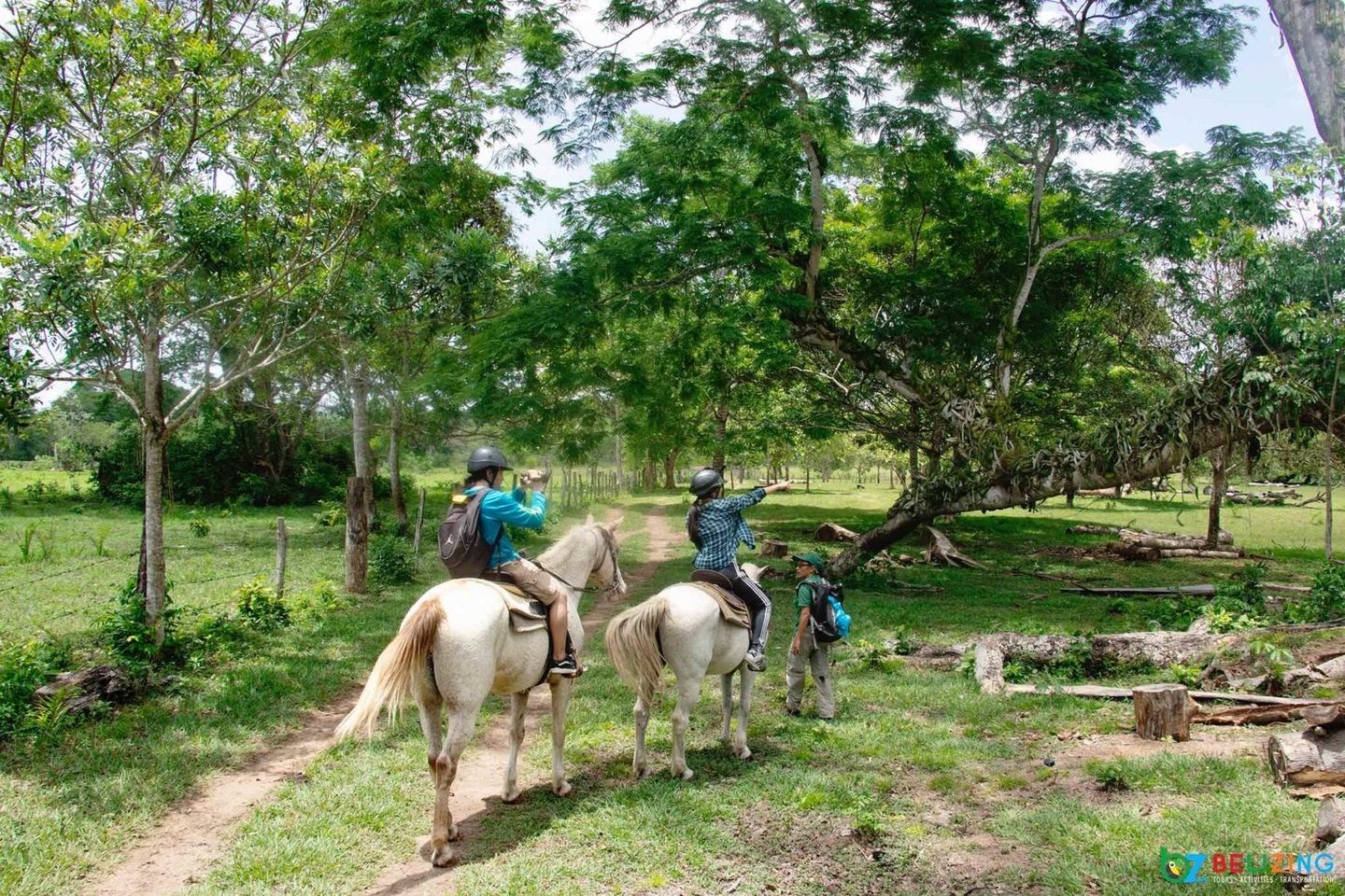 FARM RIDE