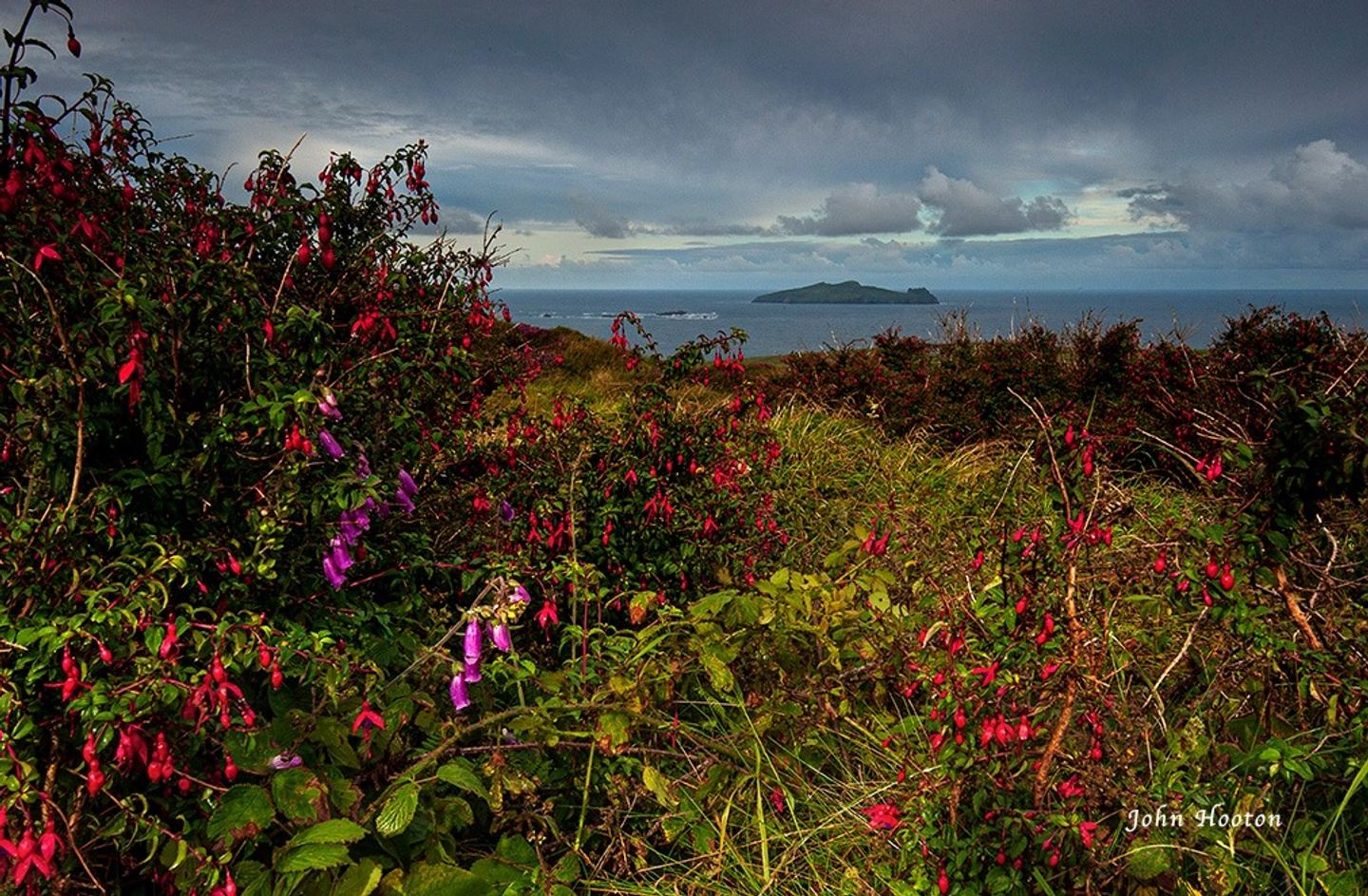 Springtime in Ireland