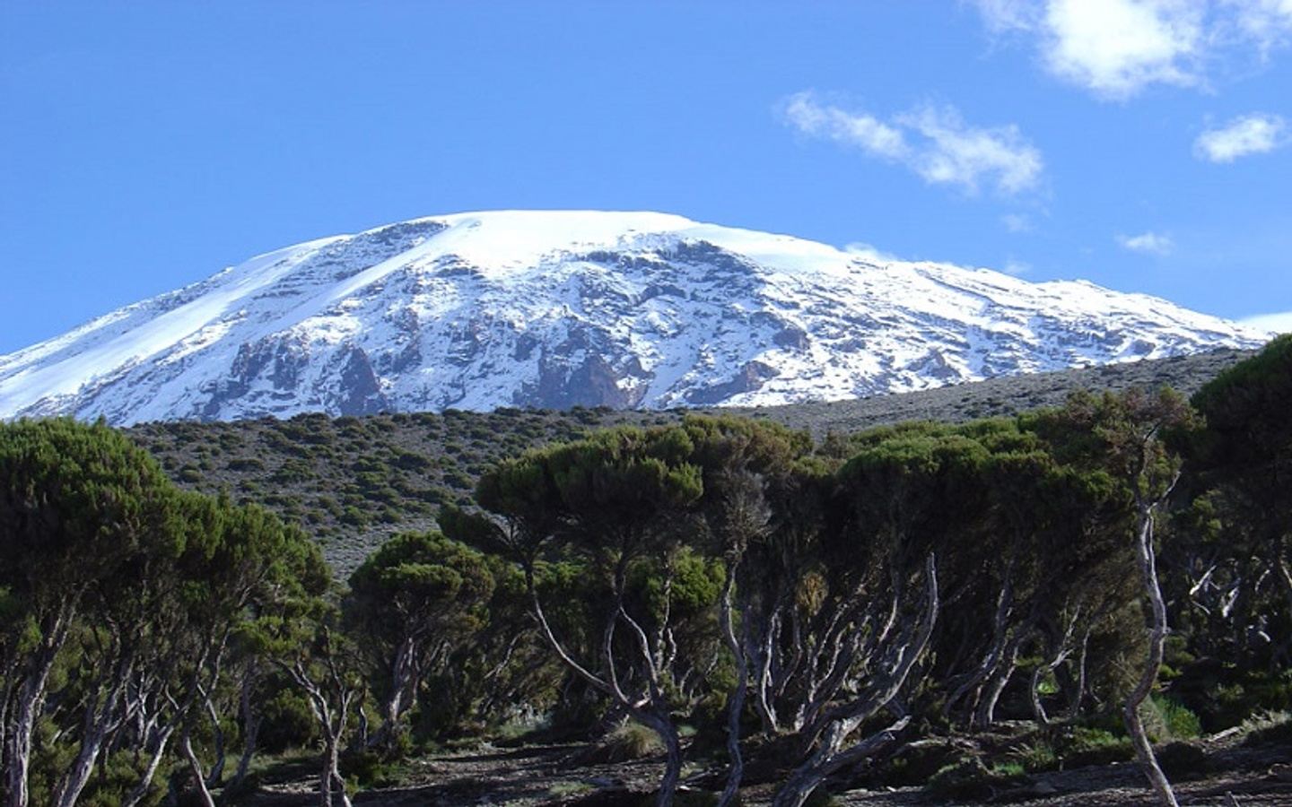 8 Days Bike Trek Lemosho Route – Kilimanjaro Trekking Tour