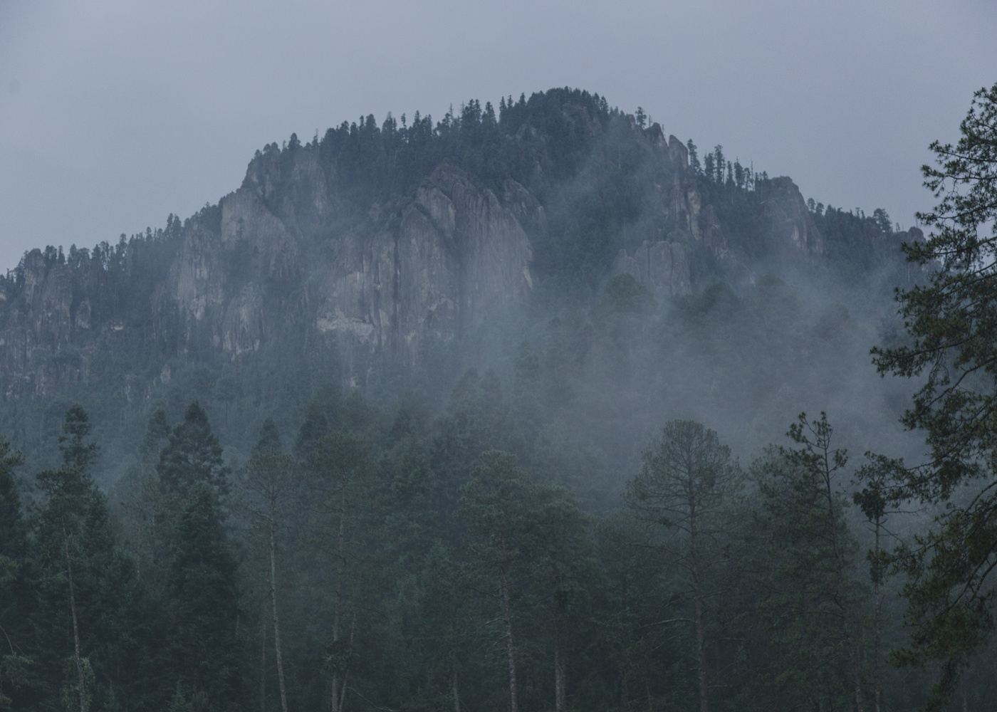 Oaxaca - Sierra Norte