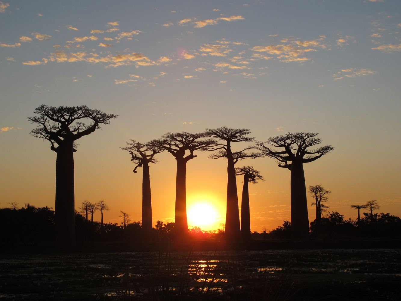 Madagascar 9 Days Baobabs and Lemurs Tour