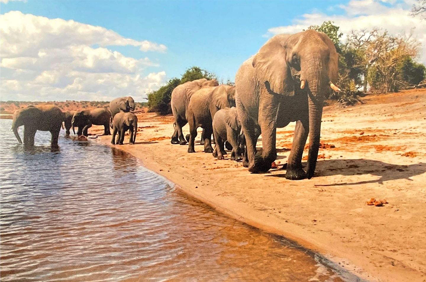 Elephant Coast, Zululand, Rhino Ridge, SA 2024 in Durban, South Africa