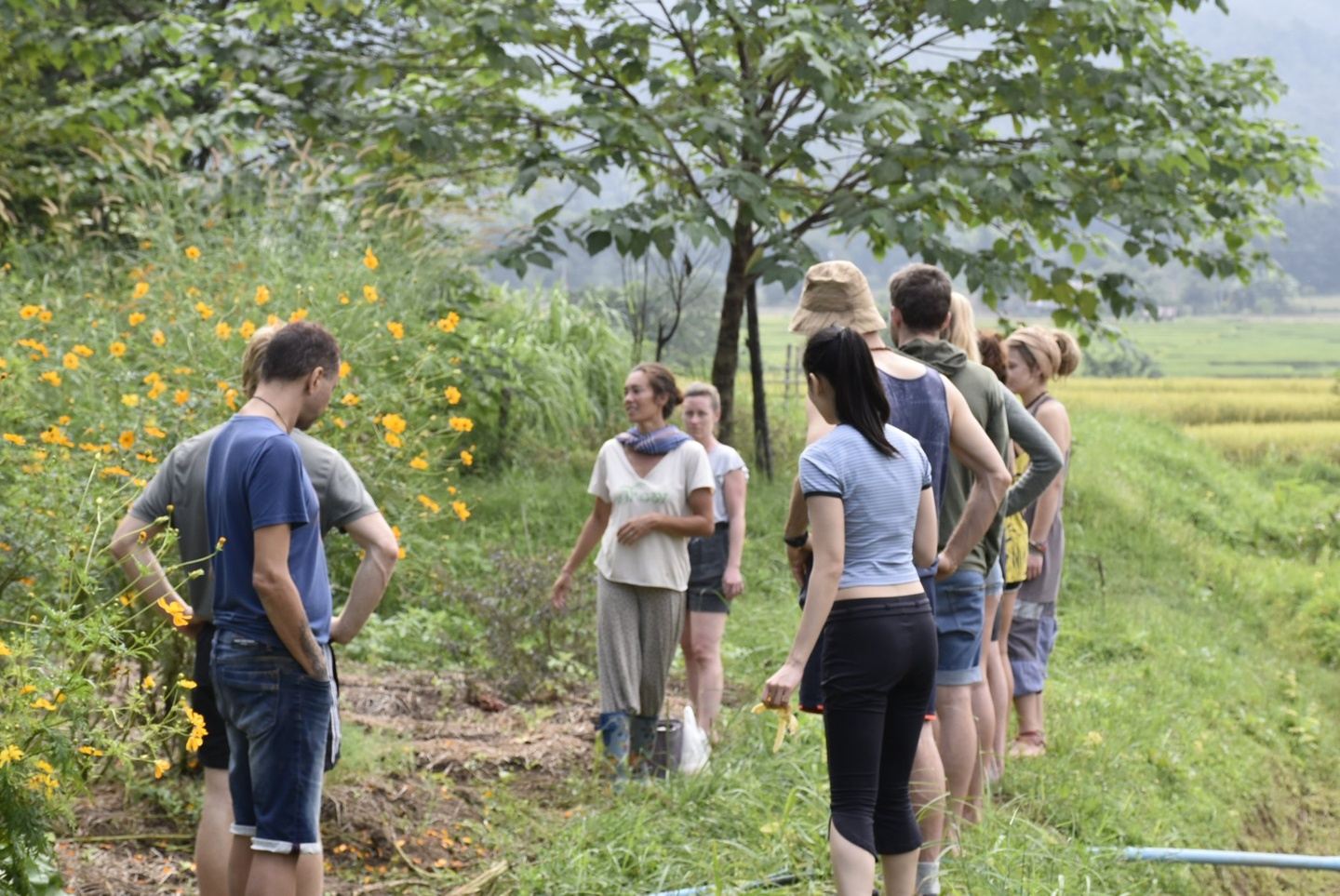 Transition 4 day Permaculture course, self-reliance, well-being