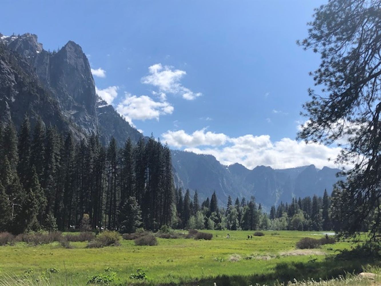 Yosemite Elements Retreat