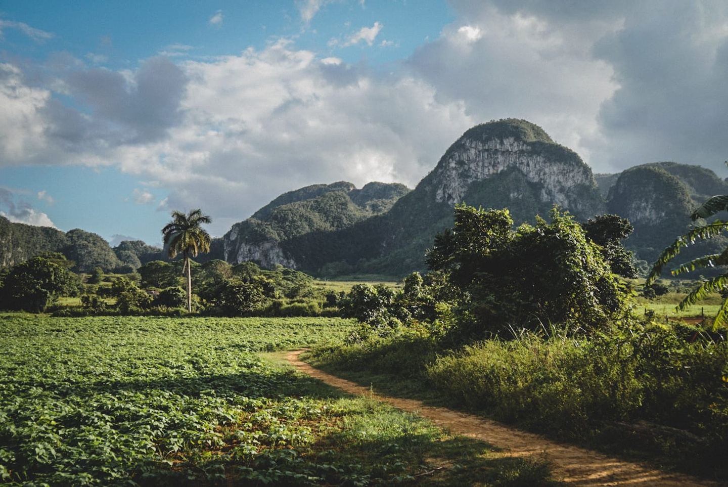 The Ultimate Viñales Experience