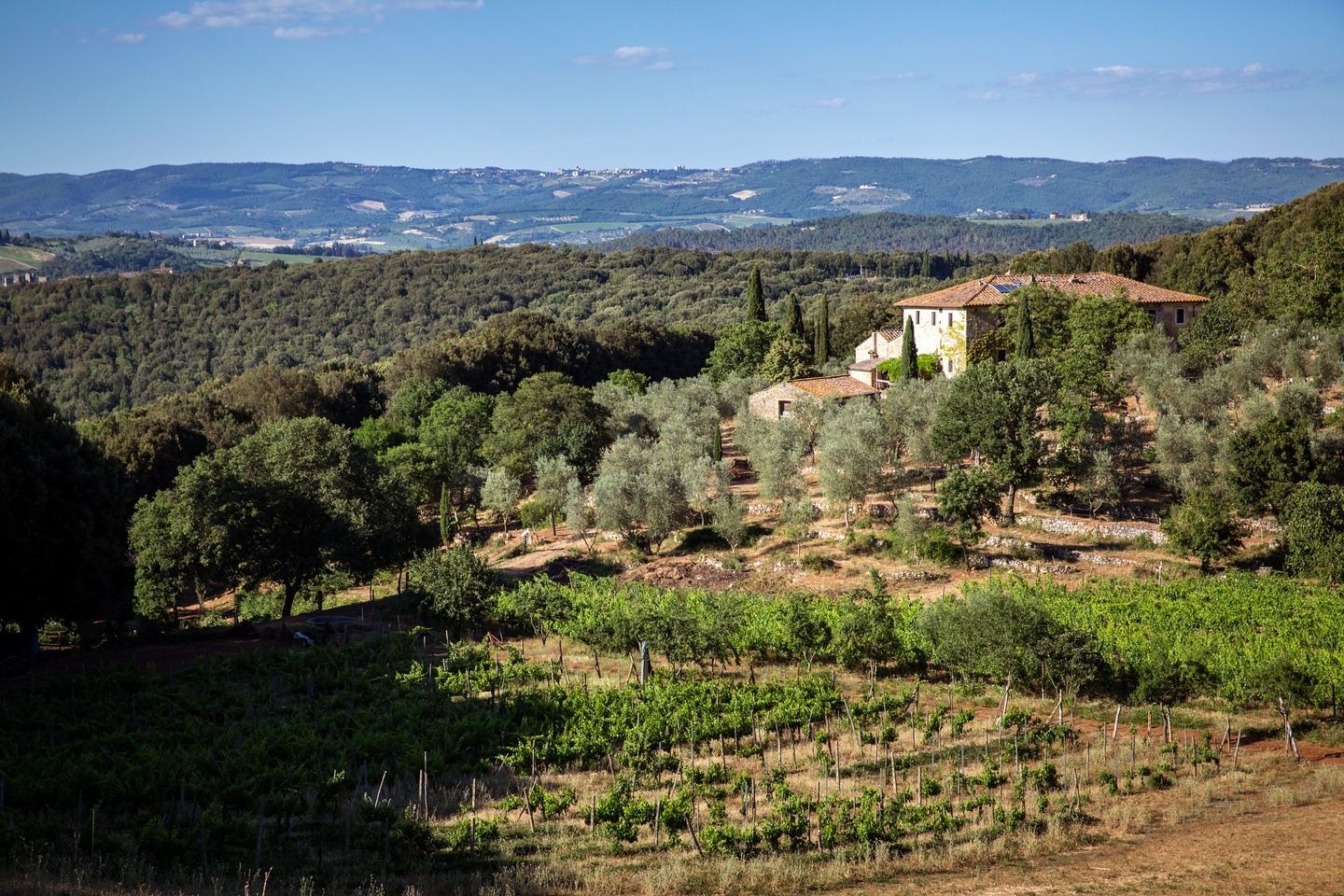 Early Autumn in Tuscany