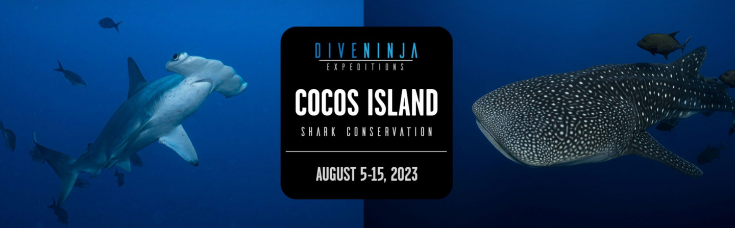 Cocos Island, Shark conservation BOOK NOW