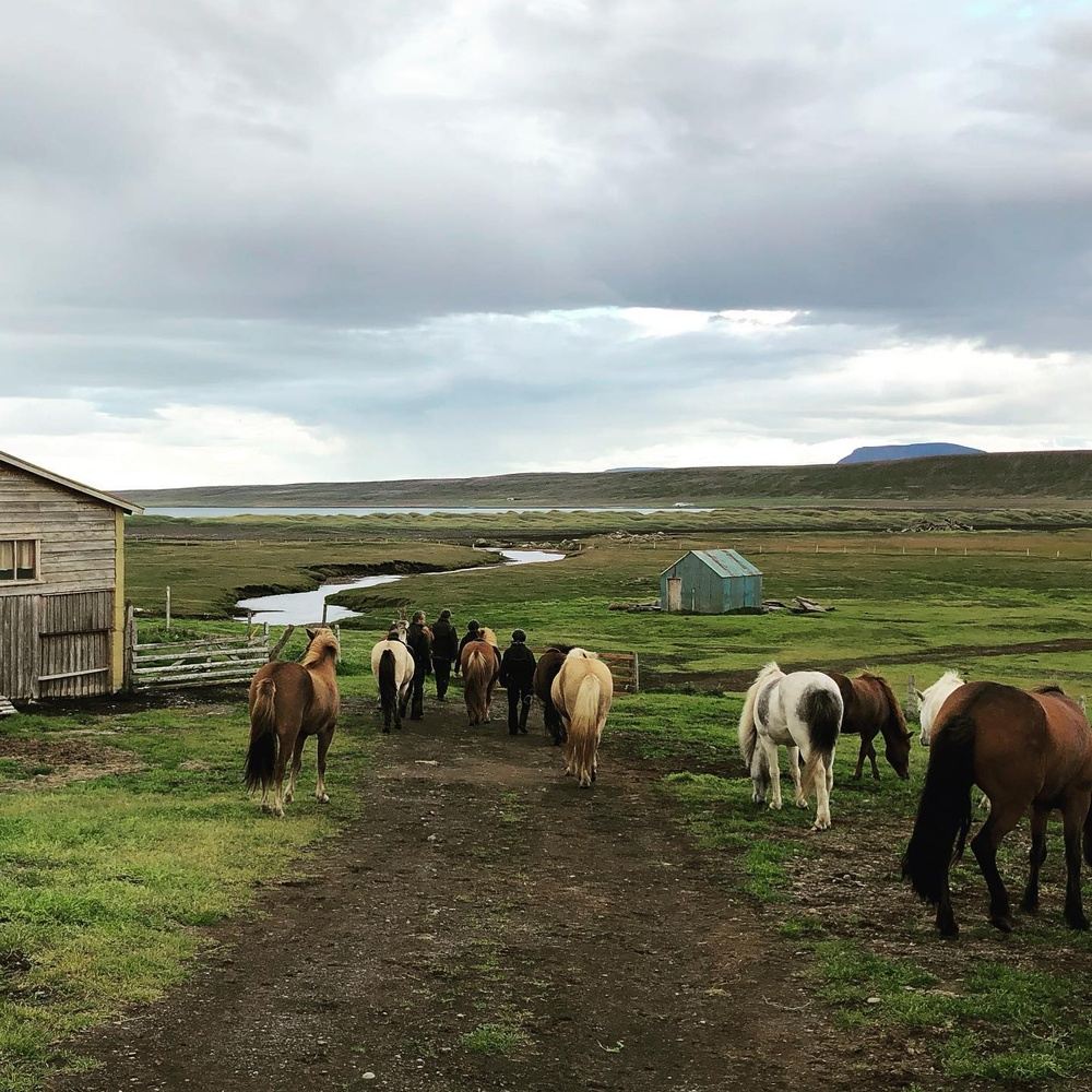 The Free-Spirited Release Retreat ​in Mystical Iceland