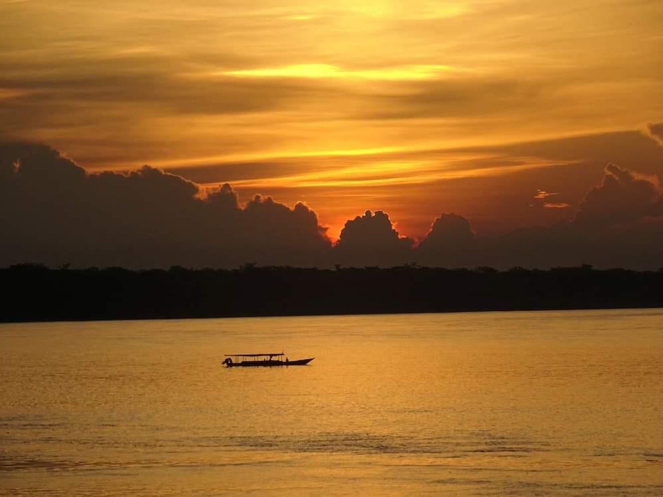 Discover Tambopata 3 days 2 nights