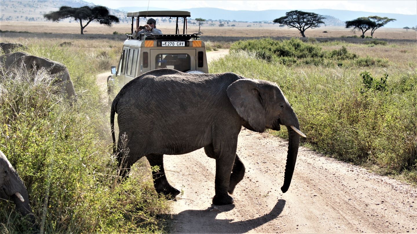 2024: Tanzania Women's Adventure Safari Best of Northern Circuit