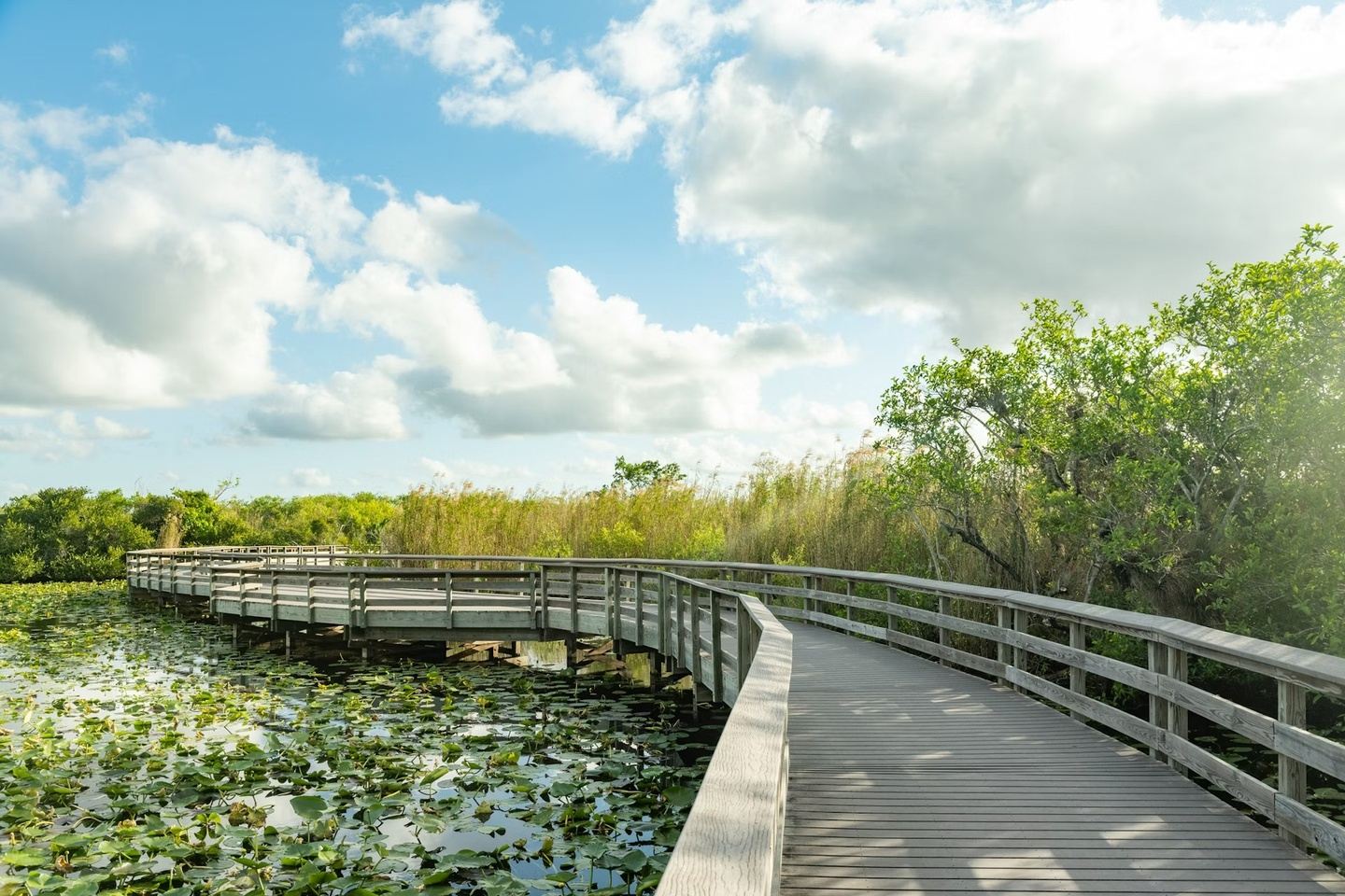 Florida National Park Adventure