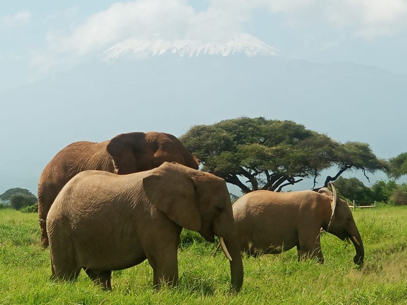 3-Day Finest Serengeti -Ngorongoro Camping Safari