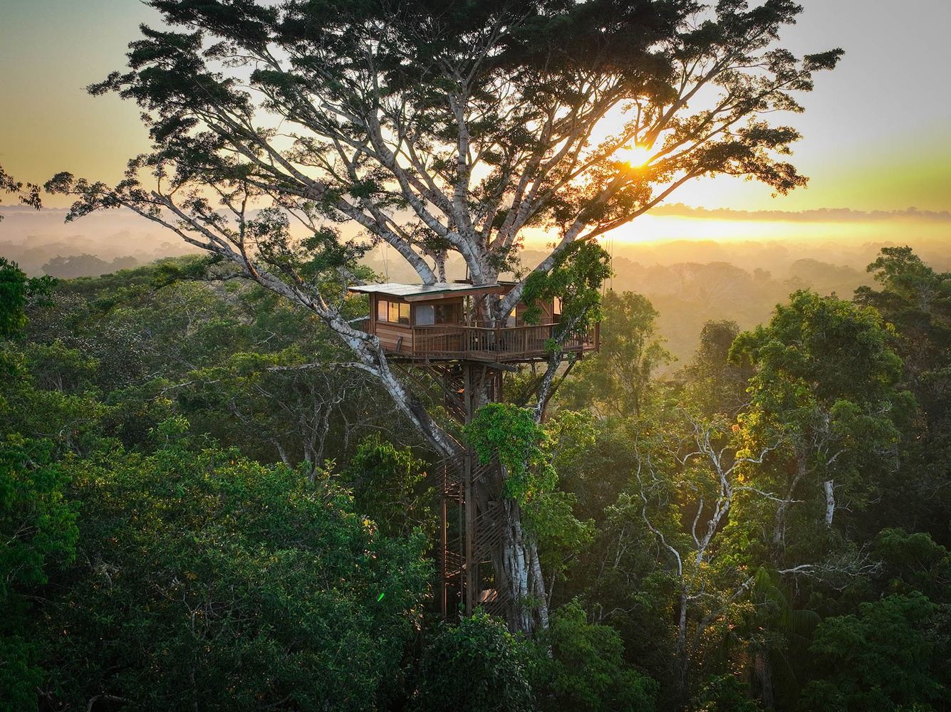 Exclusive Jungle Experience featuring Paul Rosolie