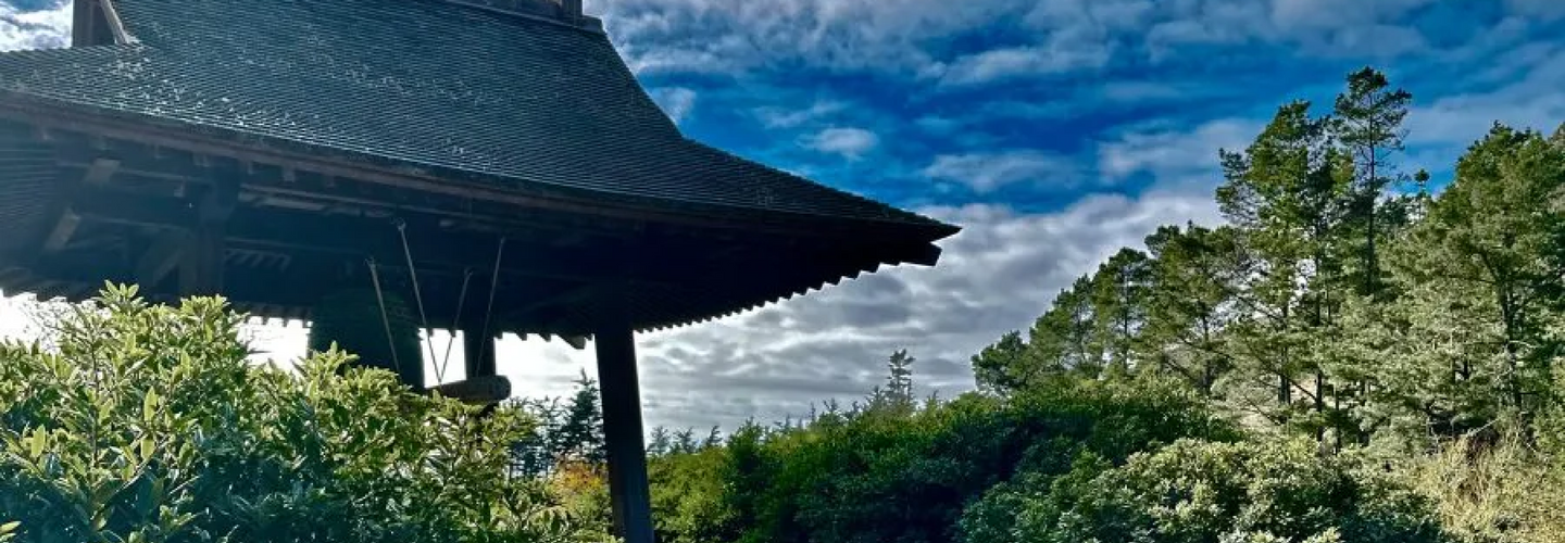 Deliberate Stillness Day-long Meditation & Yoga Retreat