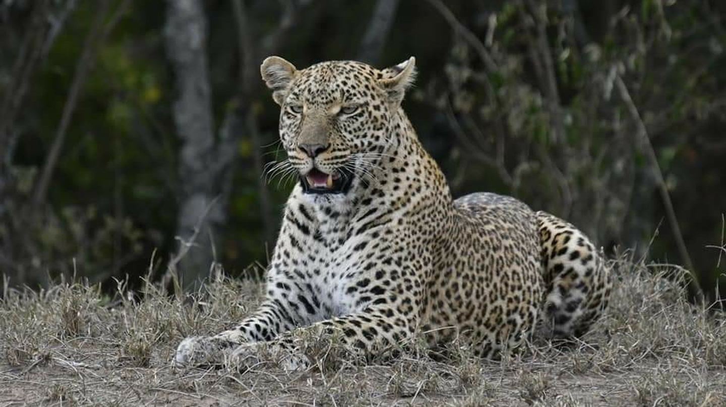 6 days 5 Nights Package in Kenya