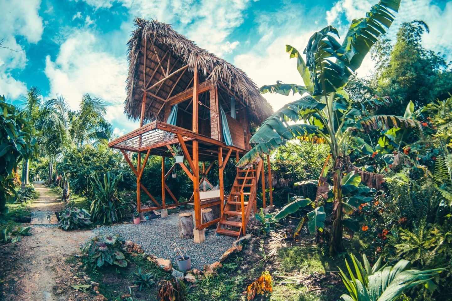 Samana Jungle Escape Wellness Retreat