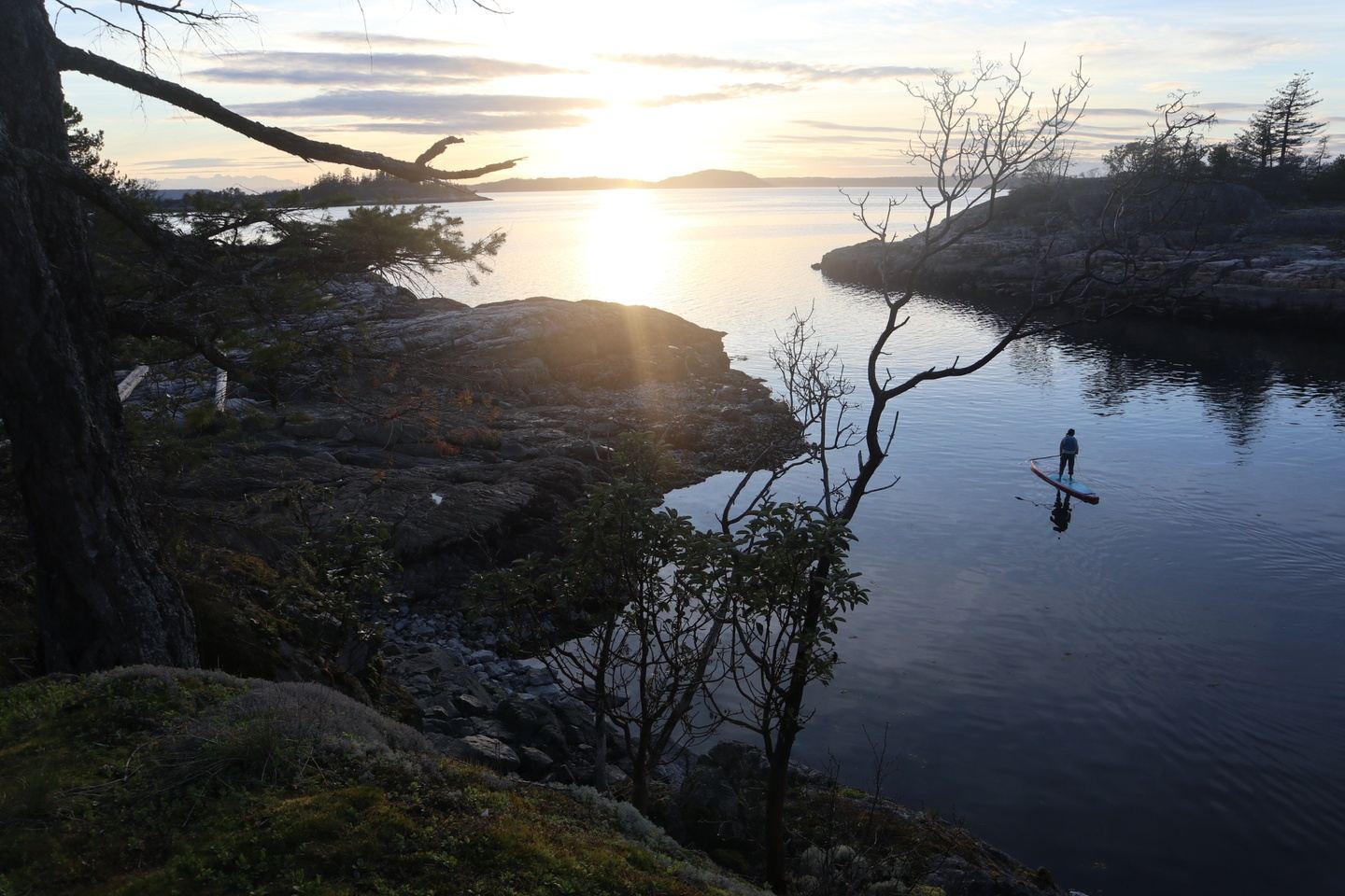 Salish Sea Skills