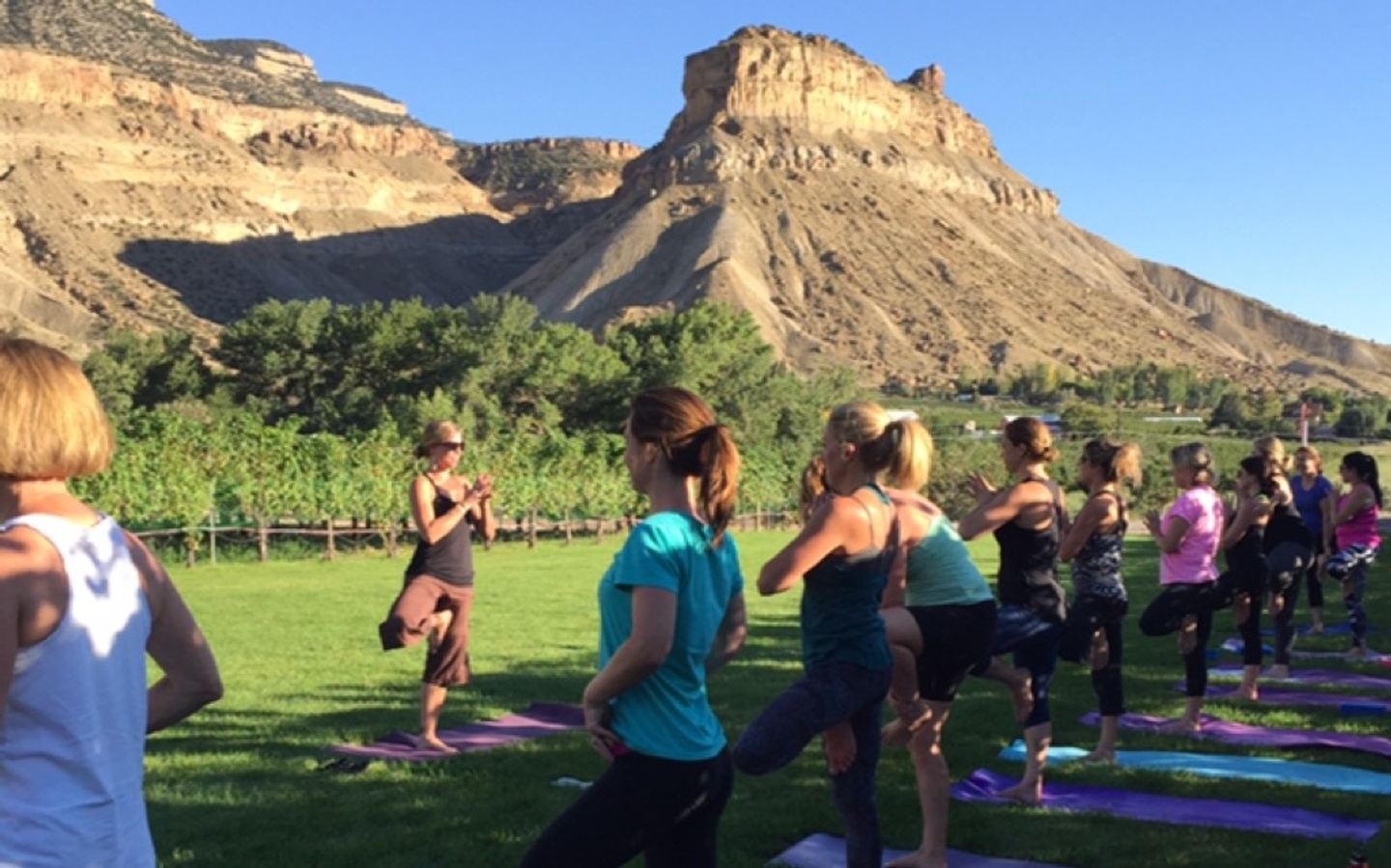 Yoga In the Vines 2019 in Palisade, CO, USA