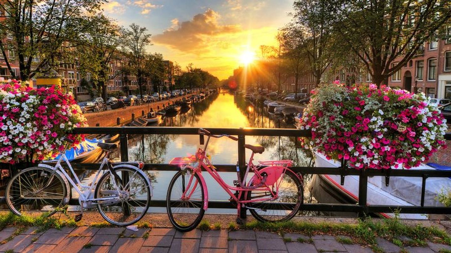 Amazing Amsterdam