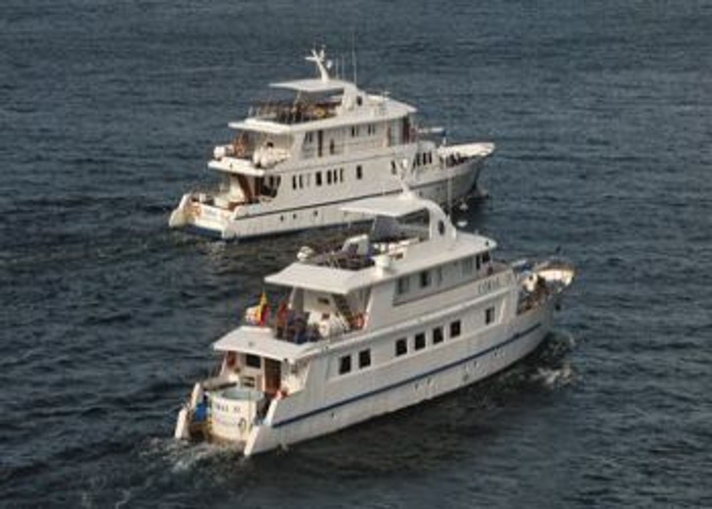 coral 1 yacht galapagos