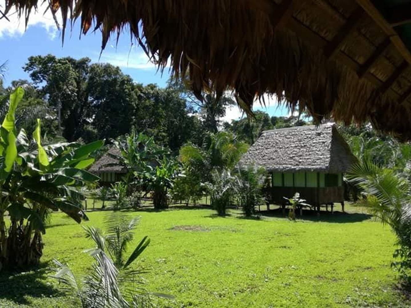 4 Day Tambopata Sandoval Lake & Monkey Island from cusco