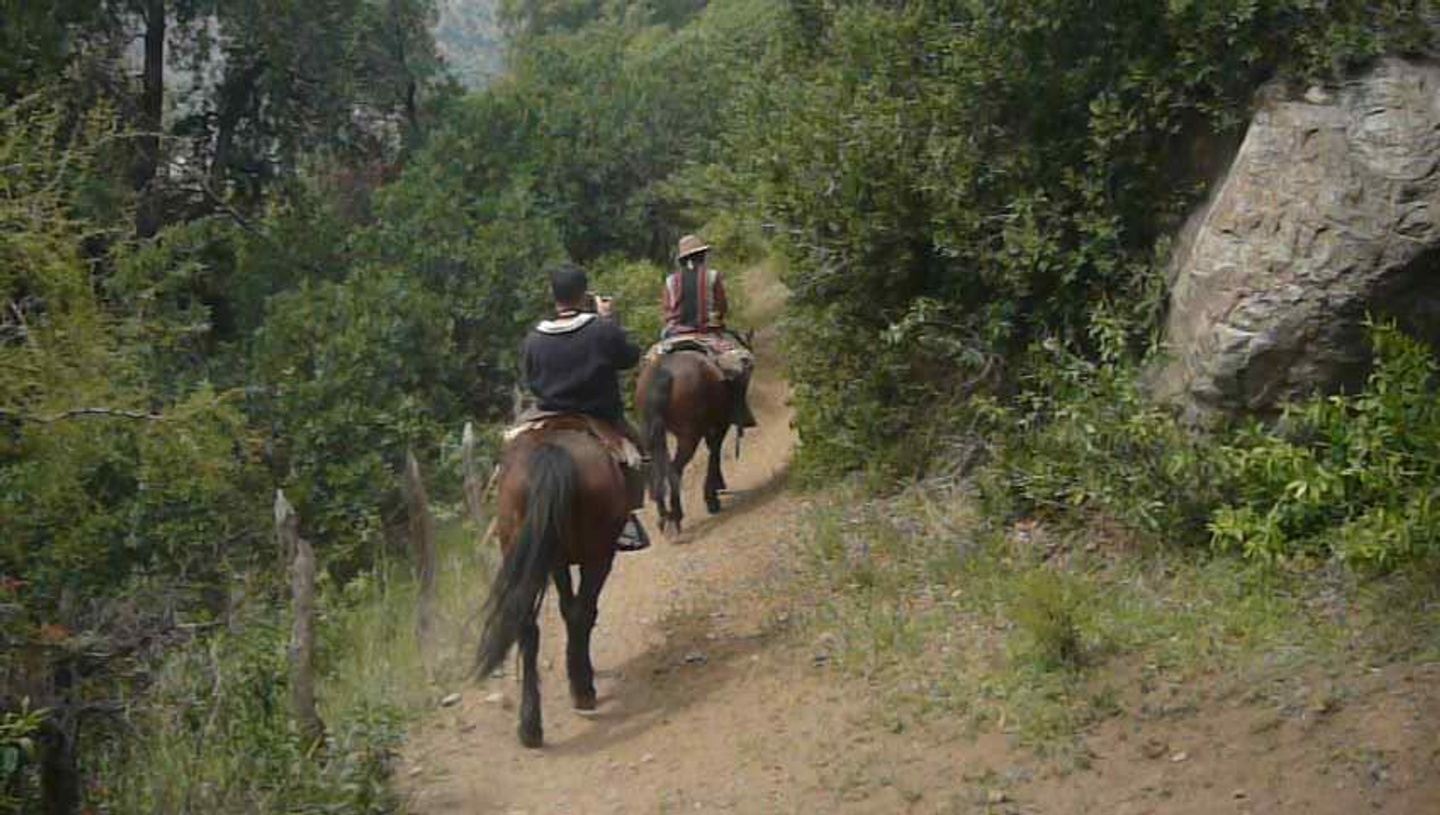 Wild Ride in the Heart of the Andes