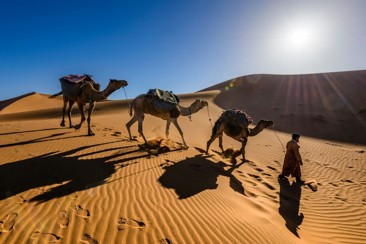 Magic of Morocco with Healthcare Escapes