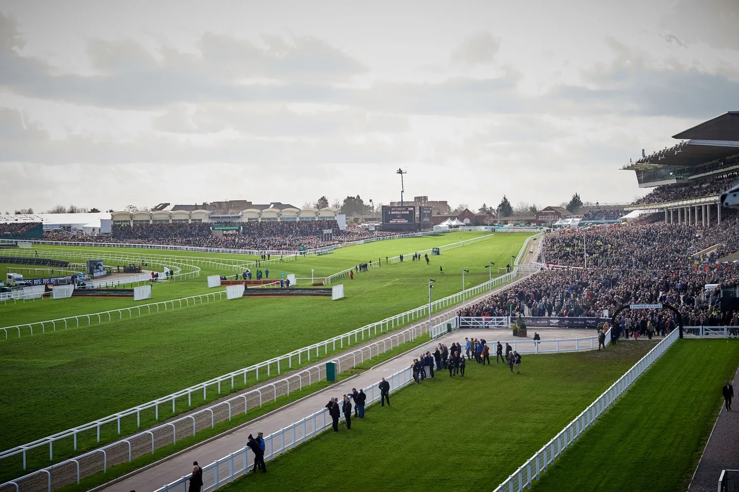 Cheltenham Festival Hospitality - Tuesday 11th - 14th March 2025