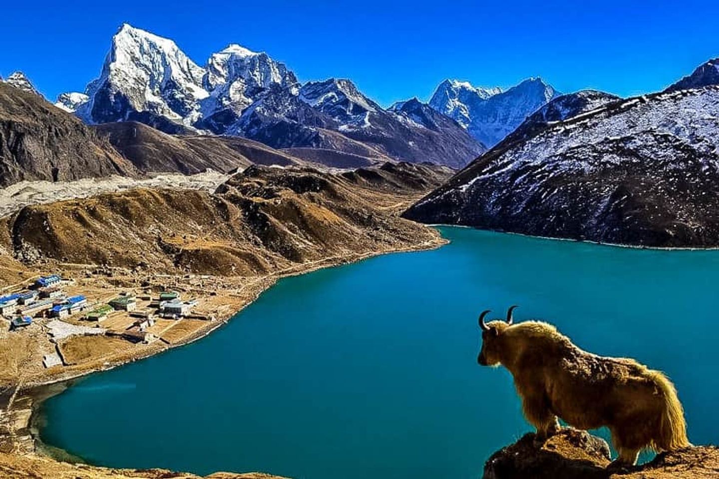 Gokyo Lake Trek