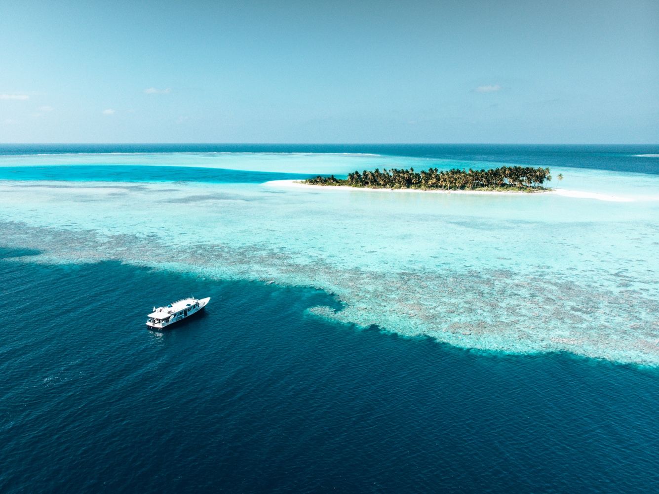 SOLD OUT Maldives Liveaboard + Manta and Shark madness add-ons